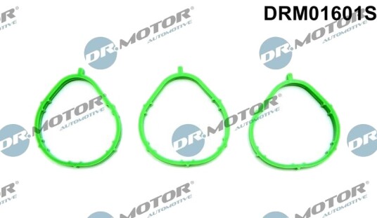 Tetningssett, innsugningsmanifold DR.MOTOR AUTOMOTIVE DRM01601S