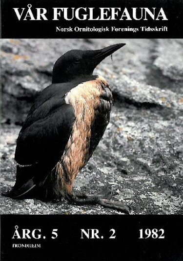 Norsk Ornitologisk Forening Vår Fuglefauna   1982 2 årgang 5