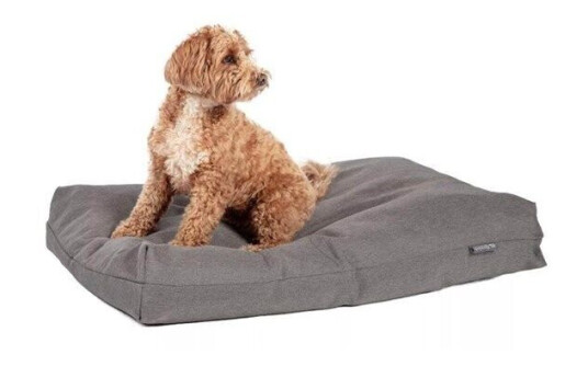 Danish Design Antibacterial Bed Grey L