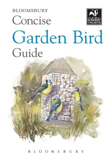 Concise Garden Bird Guide Av Bloomsbury Concise Garden Bird Guide Av Bloomsbury