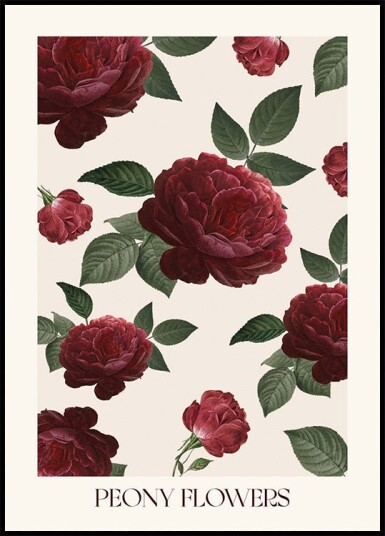 Peony Flowers Plakat Plakat / 100x150cm