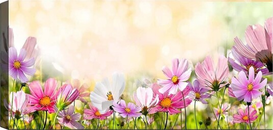 Canvasbilde YTY Floral & Botanical Flerfarget 120x50 cm