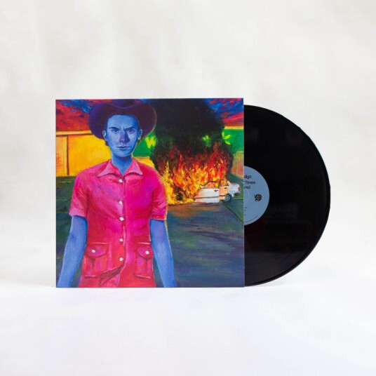 Hayden Pedigo The Happiest Times I Ever Ignored LP/Vinyl