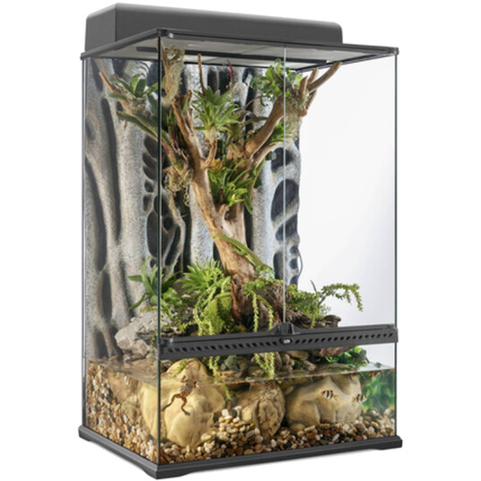 Glassterrarium Naturlig Medium/X-Høy - 60 x 45 x 90 cm