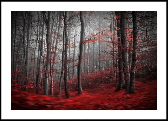 Bloody River Poster Plakat / 21x30cm