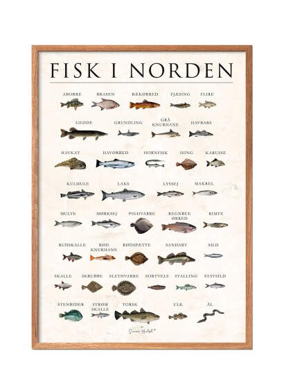 Poster & Frame Fisk I Norden Sten   Multi/patterned   50X70CM