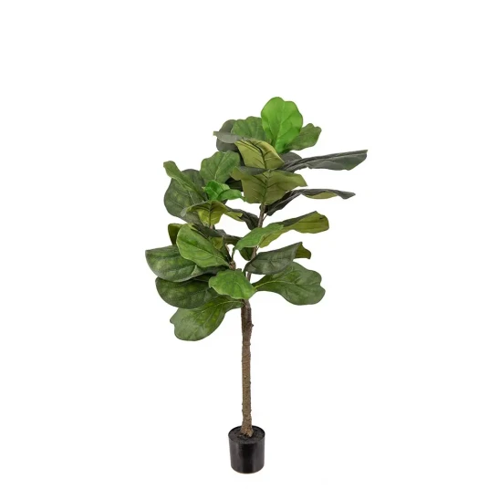 Mr Plant Fele ficus 150 cm Mr Plant Fele ficus 150 cm