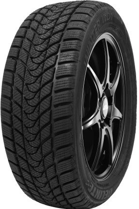 Delinte Winter WD1 185/65R14 86H