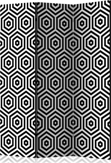 Romdeler Black and White Hypnosis - Artgeist sp. z o. o.