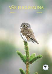 Norsk Ornitologisk Forening Vår Fuglefauna   2004 4 årgang 27