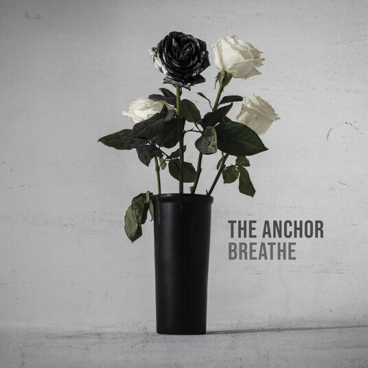 Anchor Anchor CD