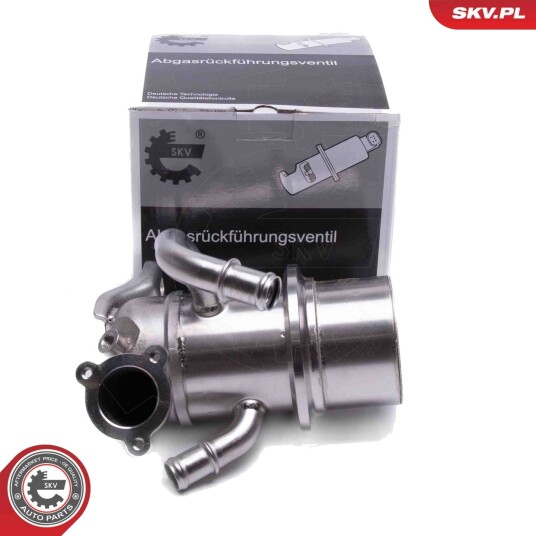EGR Ventil ESEN SKV 14SKV243