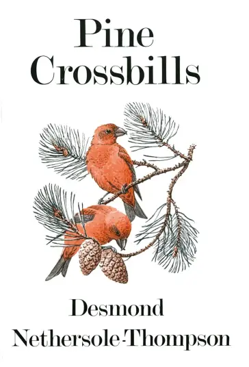 Pine Crossbills