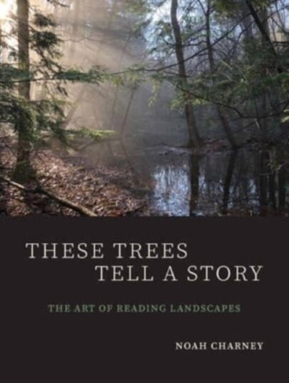 These Trees Tell a Story  The Art of Reading Landscapes