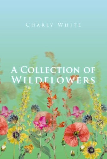 A Collection of Wildflowers