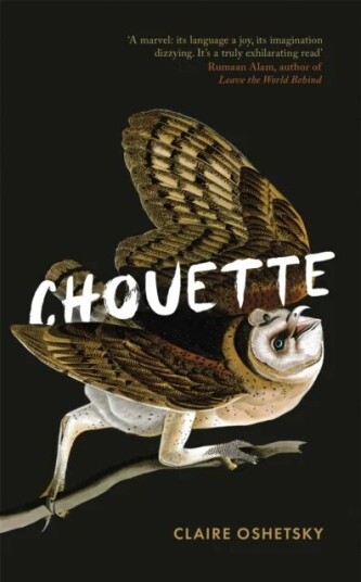 Chouette Av Claire Oshetsky