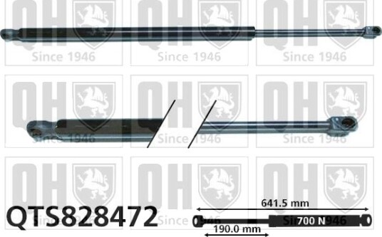 QUINTON HAZELL QTS828472 Baklukedemper