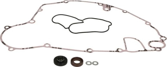 WINDEROSA 821590 Pakning vannpumpe