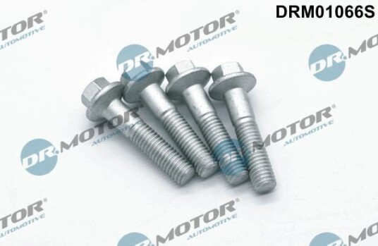 Bolt, innsprøytningsdyse holder Dr.Motor Automotive DRM01066S