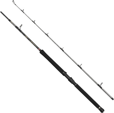 Penn Regiment IV Boat 702 30-50lbs 2Pcs STD 210cm