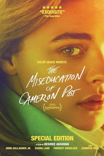 Miseducation Of Cameron Post DVD