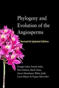 Phylogeny And Evolution Of The Angiosperms Av Douglas E. Soltis, Pamela S. Soltis, Peter K. Endress, Mark Chase, Steven Manchester, Walter S. Judd