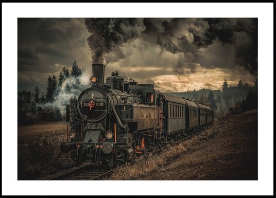 Gold digger train Plakat / 50x70cm