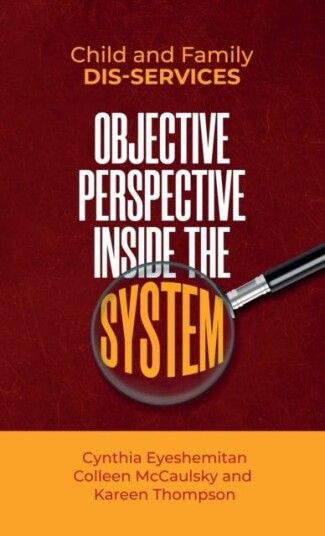 Child and Family Disservices Objective Perspective Inside the System Child and Family Disservices Objective Perspective Inside the System