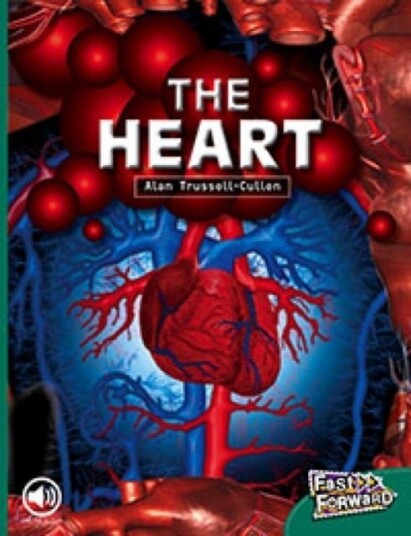 The Heart The Heart
