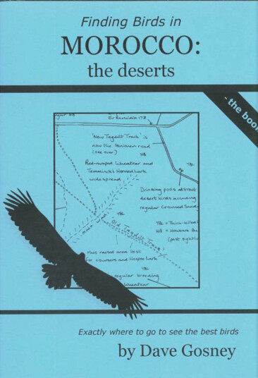 Finding Birds in Morocco"s deserts Finding Birds in Morocco"s deserts