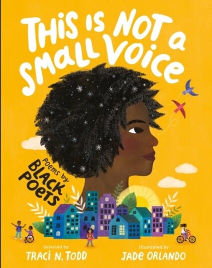 This Is Not A Small Voice This Is Not A Small Voice