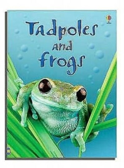 Tadpoles and Frogs Tadpoles and Frogs