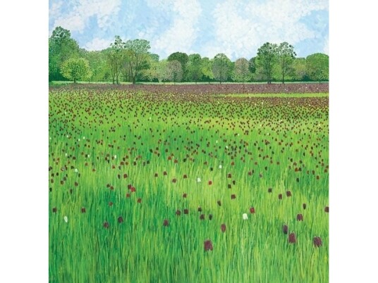 Susan Entwistle Kort Med Konvolutt Checkerboard Meadow Susan Entwistle Kort Med Konvolutt Checkerboard Meadow