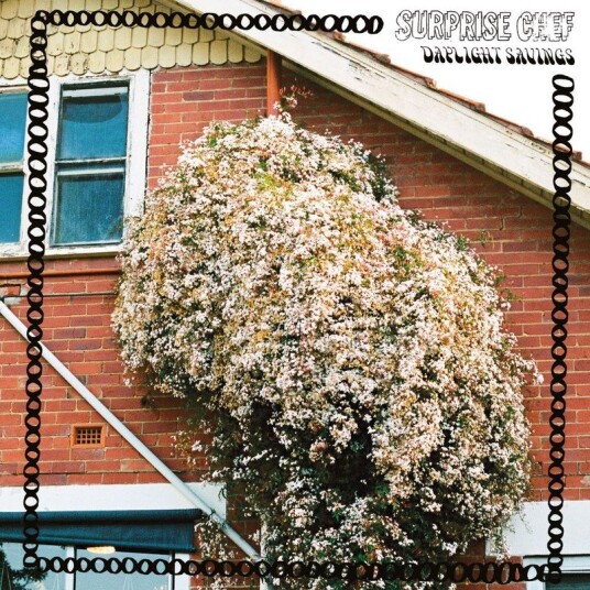 Dayling Savings Vinyl