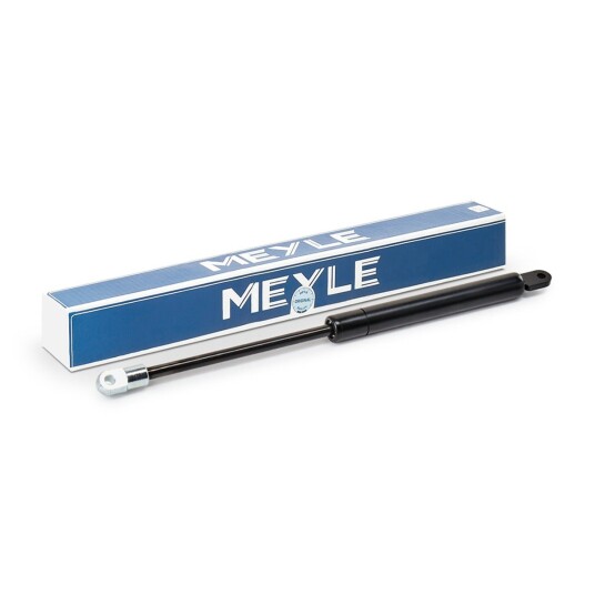 Gassfjær, panser MEYLE 440 160 3840
