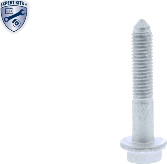 Skrue VAICO V10 2545