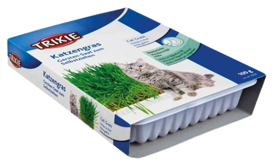 Kattemynte Med Vekstboks 100G