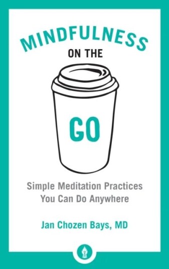 Mindfulness On The Go Av Jan Chozen Bays