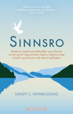 Sinnsro Av Sandy C. Newbigging