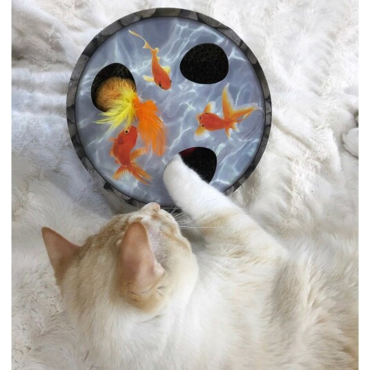 Kattinorge Petstages Hide & Seek Wobble Pond Cat Toy