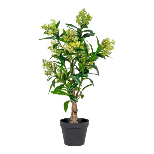House Nordic Skimmia Tre 9501120