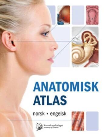 Anatomisk Atlas Anatomisk Atlas