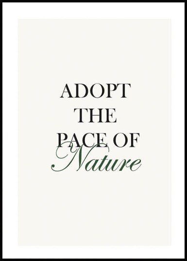 Pace Of Nature Plakat Plakat / 100x150cm