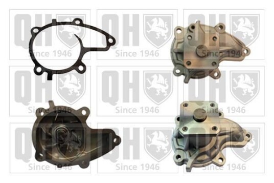 QUINTON HAZELL QCP3177 Vannpumpe QUINTON HAZELL QCP3177 Vannpumpe