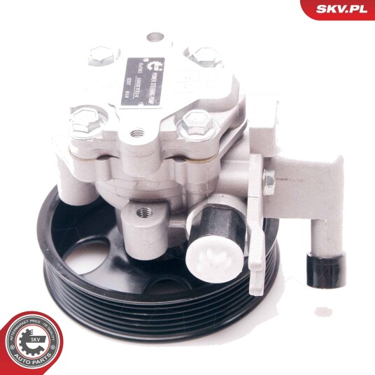 Servopumpe ESEN SKV 10SKV214