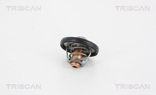 Termostat TRISCAN 8620 37488