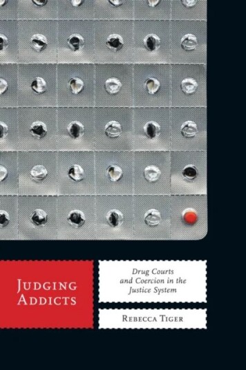 Judging Addicts Av Rebecca Tiger