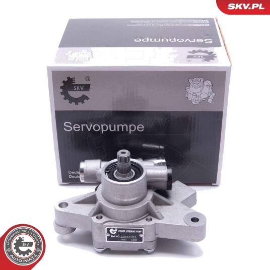 Servopumpe ESEN SKV 10SKV313