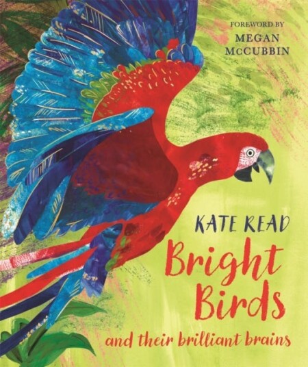 Bright Birds Bright Birds