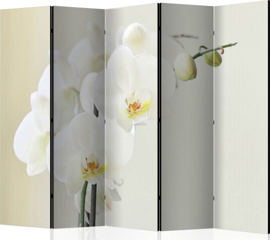 Romdeler - White orchid II 225x172 - Artgeist sp. z o. o.